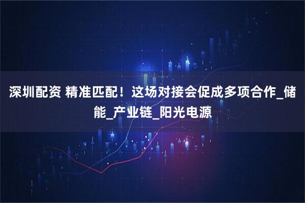 深圳配资 精准匹配！这场对接会促成多项合作_储能_产业链_阳光电源